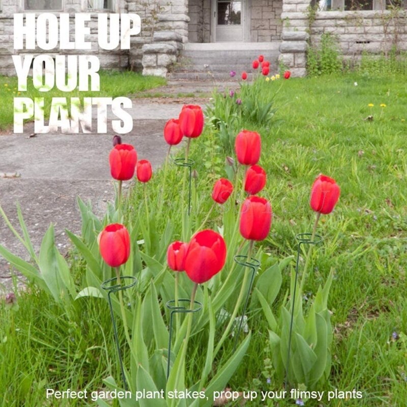 Garden Support Stake Ring Metal Garden Plant Supports Single Stem Shrub Holder for Plants Rose Flowers Vegetables Vine