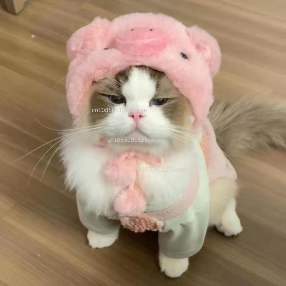 Gorro de gato refinado bonito, gorro elástico de felpa para invierno para mascotas, gorro tejido para cachorros y gatitos, accesorios de decoración para y Cosplay, accesorios para gatos para mascotas