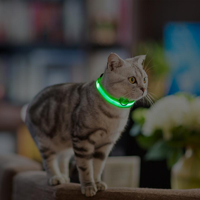 Led Anti-Verloren Huisdier Halsband Flashing Glow Glowing Lichtgevende Night Halsbanden Harnesses Riemen Huisdier Producten Kat Halsbanden