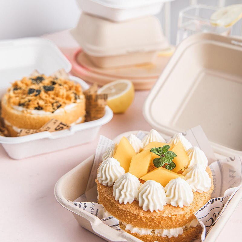 20/50Pcs Disposable Food Containers for Restaurants Microwavable Biodegradable Natural Bagasse Take Away Food Box Packaging