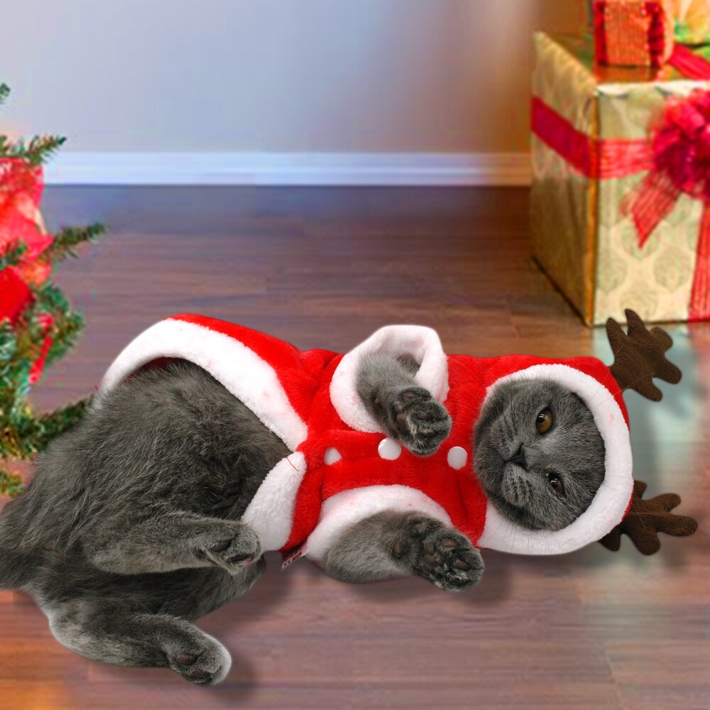Julekat tøj små hunde katte santa kostume killing hvalpedragt hættetrøje varm kæledyr hundetøj