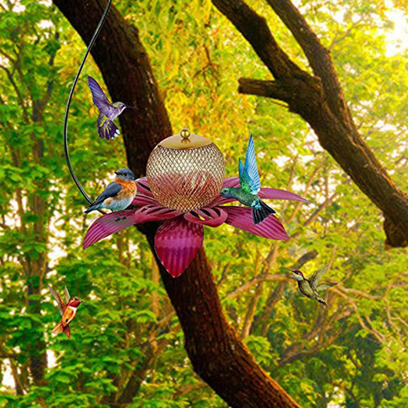 Hanging Hummingbird Feeder Flower Bird Feeding Tool Hummingbird Feeder Outdoor Bird Feeding Station