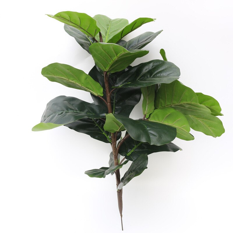 Film Lamination Plastic Simulation Plant Ficus Lyrata Single Stem Green Handfeel Plant Photography Shooting Props: Short Rod Single Stem 2 Fork Ficus Lyrata