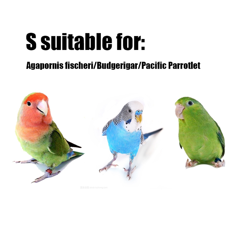 Fågelkläder papegojakläder cockatiels munk parakit pion papegoja undulat liten medelstor husdjur fågelblöjor papegoja flygdräkt