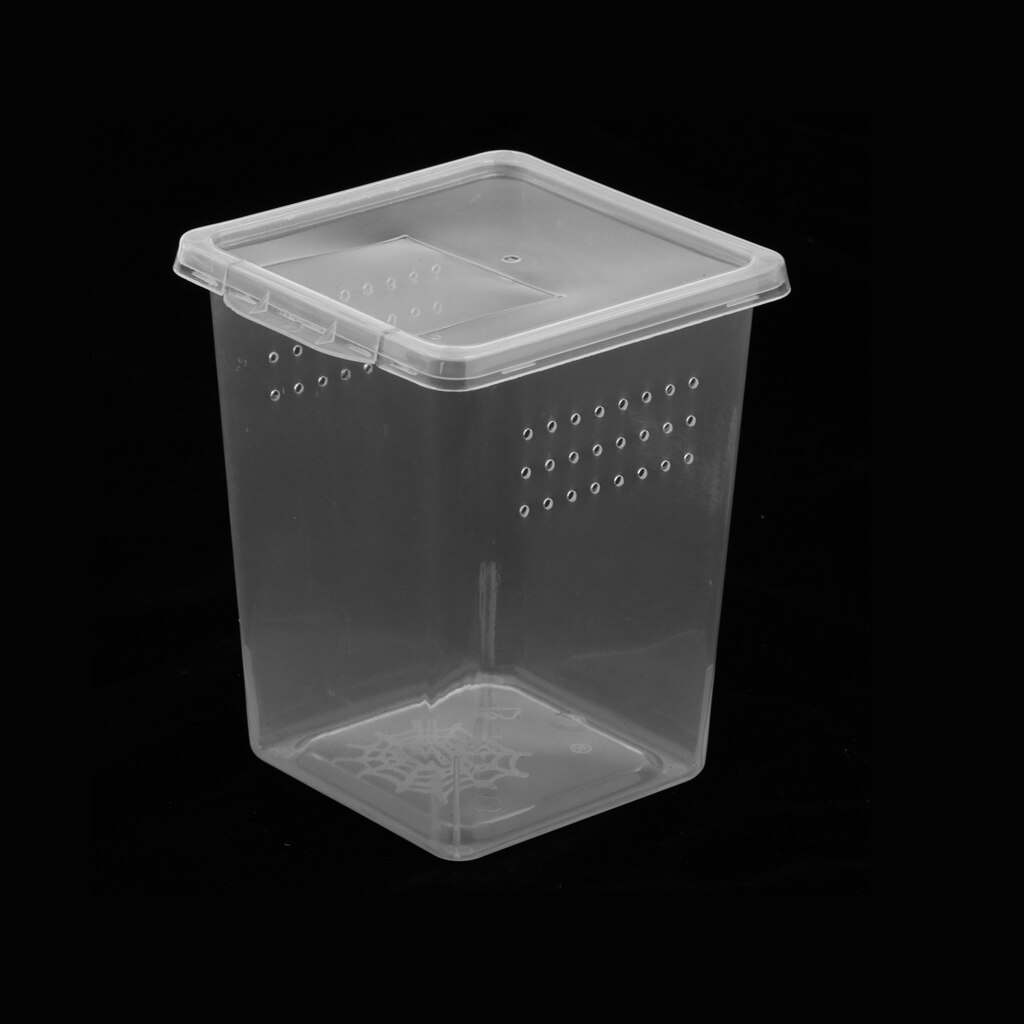 Plastik insekt frø edderkop levested foderkasse beholder genanvendelig 8 x 8 x 11cm