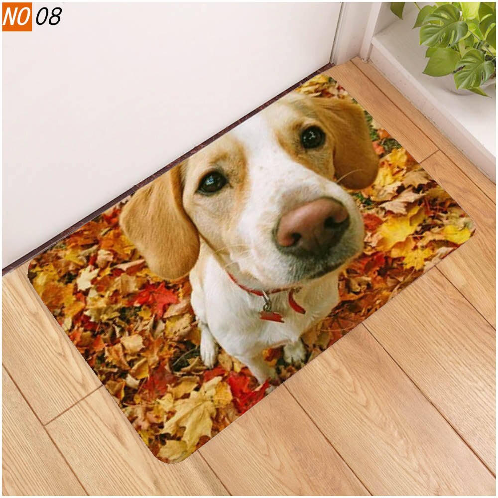 40x60 door mat 3D cute pet dog printed rubber mat 3D animal mat: 1108-8 / 60x40cm