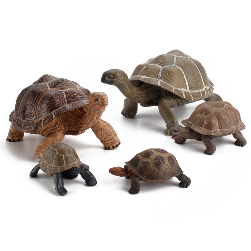 Animals Growth Cycle Life Cycle Model Set Children Cognitive Cobra Toy Accessories Mini Animal Child PVC Figures Dolls Toys For