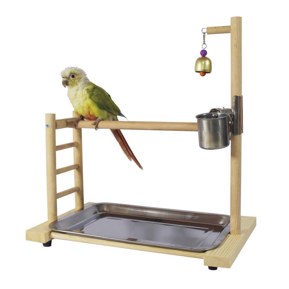 Birdcage Stands Papegaai Play Gym Hout Conure Van Speeltuin Vogelkooi Stands Accessoires Vogelhuisje Decor Tafel Top PlayStand