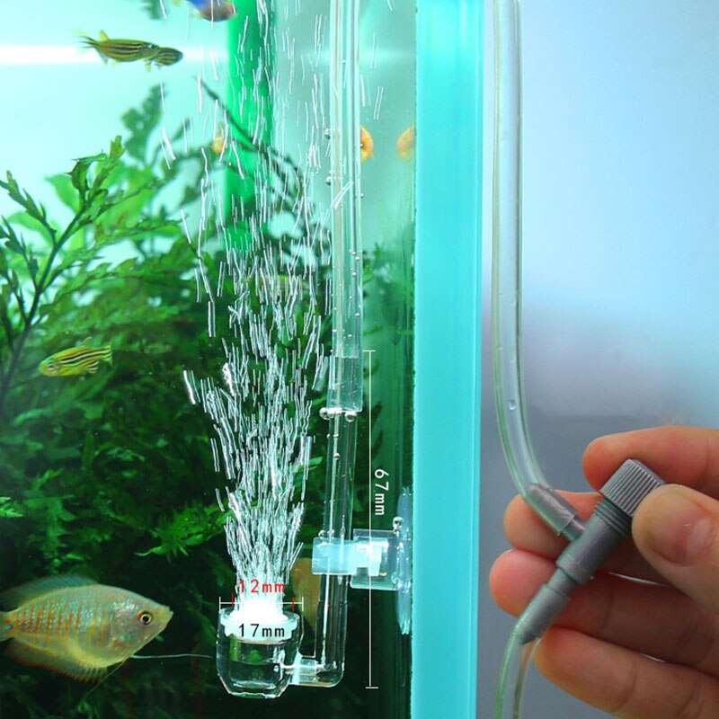 Photo inspiration: Fresh Look at Aquarium Co2 Diffuser Acrylic Air Refiner Fish Tan