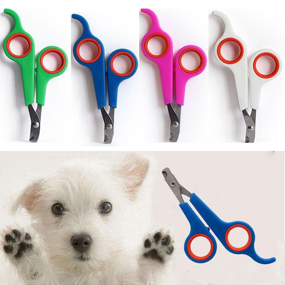 Coupe-ongles pour animaux de compagnie, outil de toilettage, griffes de lapin, ciseaux à ongles, patte d&#39;animal, perroquet gerbid bird pour chien, cisaille à ongles de chat