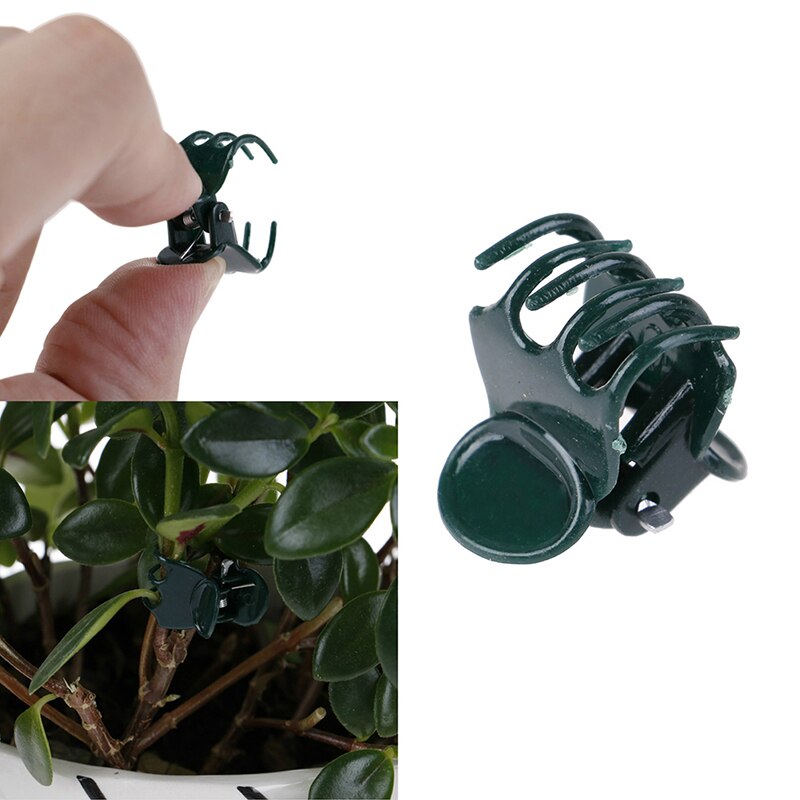 100 Pcs/Bag Plastic Plant Support Clips Orchid Stem Clip for Vine Support Vegetables Flower Tied Bundle Branch Clamping