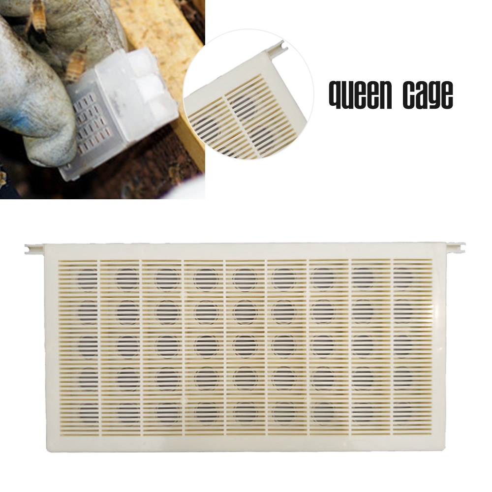 Bee Queen Cage Storage Frame Queen Rearing Kit Beekeeping Catching Catcher Goods Tools For Beekeeper Suppiler