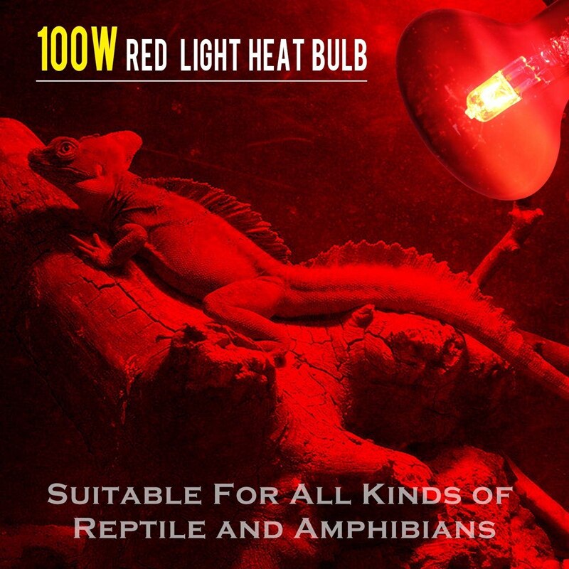 100W 2 Pack Infrared Heat Lamp Bulb Red Light Heat Bulbs for Pet Lizards Bearded Dragons Chameleons Snakes Reptiles & Amphibians