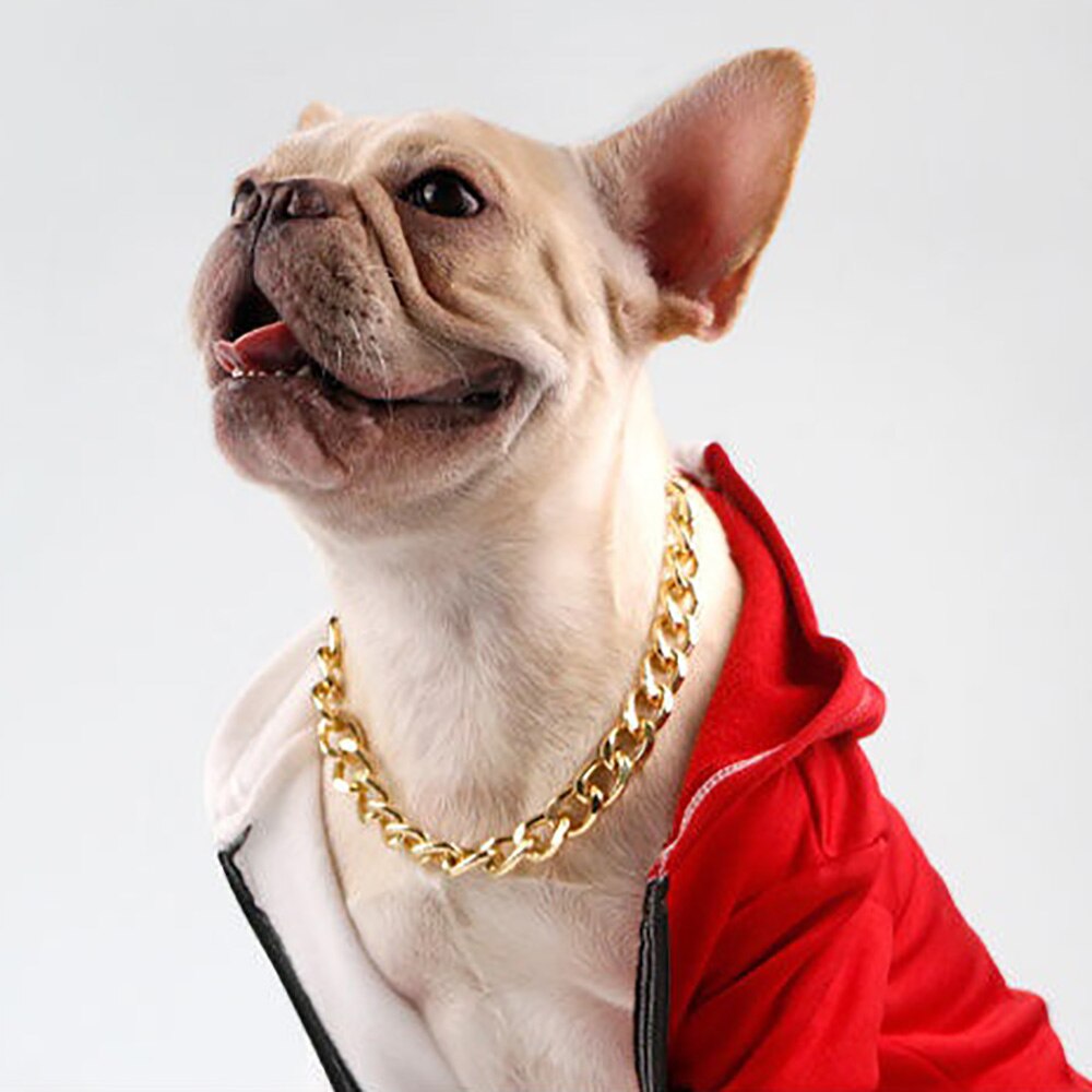 Collier en chaîne plaqué or pour animal de compagnie, pour chien, bouledogue français, à libération rapide, collier pincé, drôle, déguisement, accessoires pour animaux de compagnie