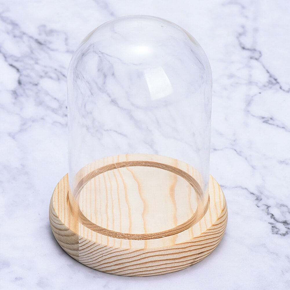 Housekeeper Butler Watch Storage Box Case Glass Cover Jewelry Display Rack Stand Showcase Tool