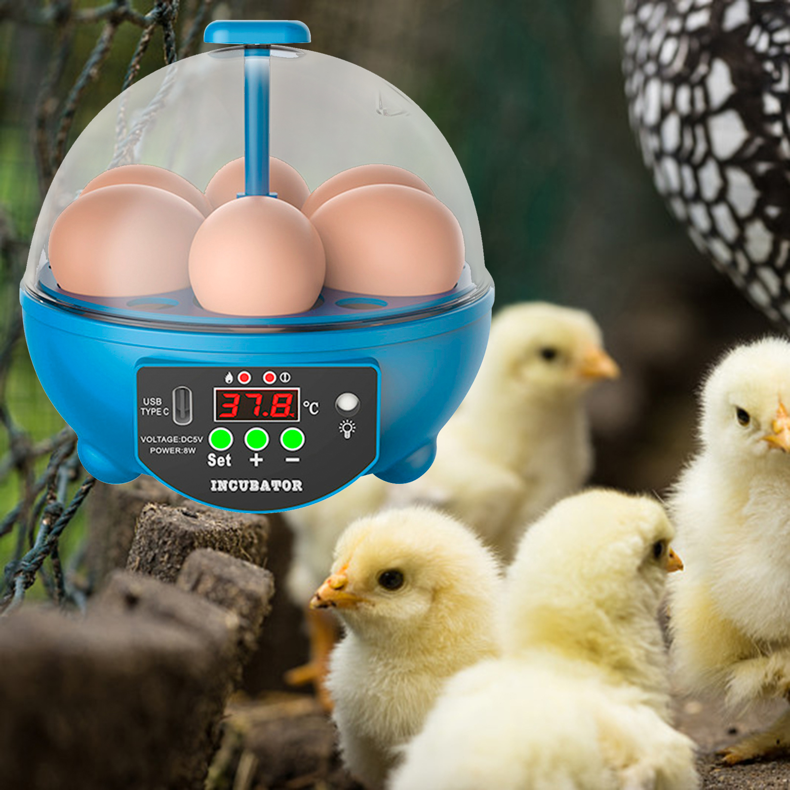Mini incubadora Digital de 6 huevos para aves de corral, Control de temperatura, Candler de huevos para aves, Ganso, pollo, pato, codorniz, suministros