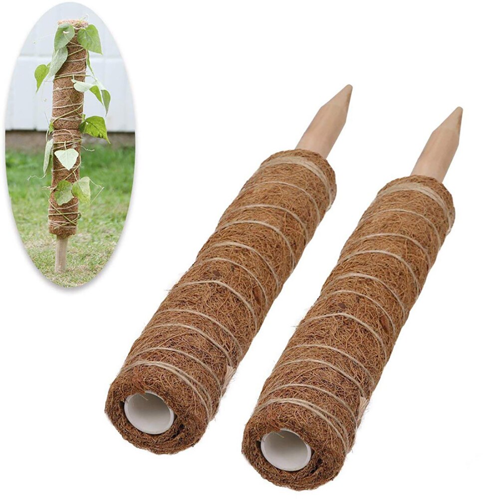 Praktische Garten Anlage Klettern Stick Anlage Klettern Coconut Strut Grün Dill Unterstützung Pol