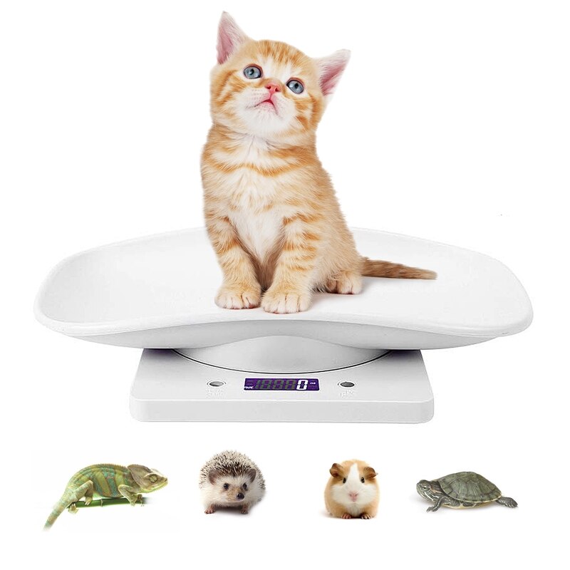 Digital Pet Scale LCD Electronic Weighing Scale Kitchen Food Scale Mini Precision Grams Weight Balance Scale