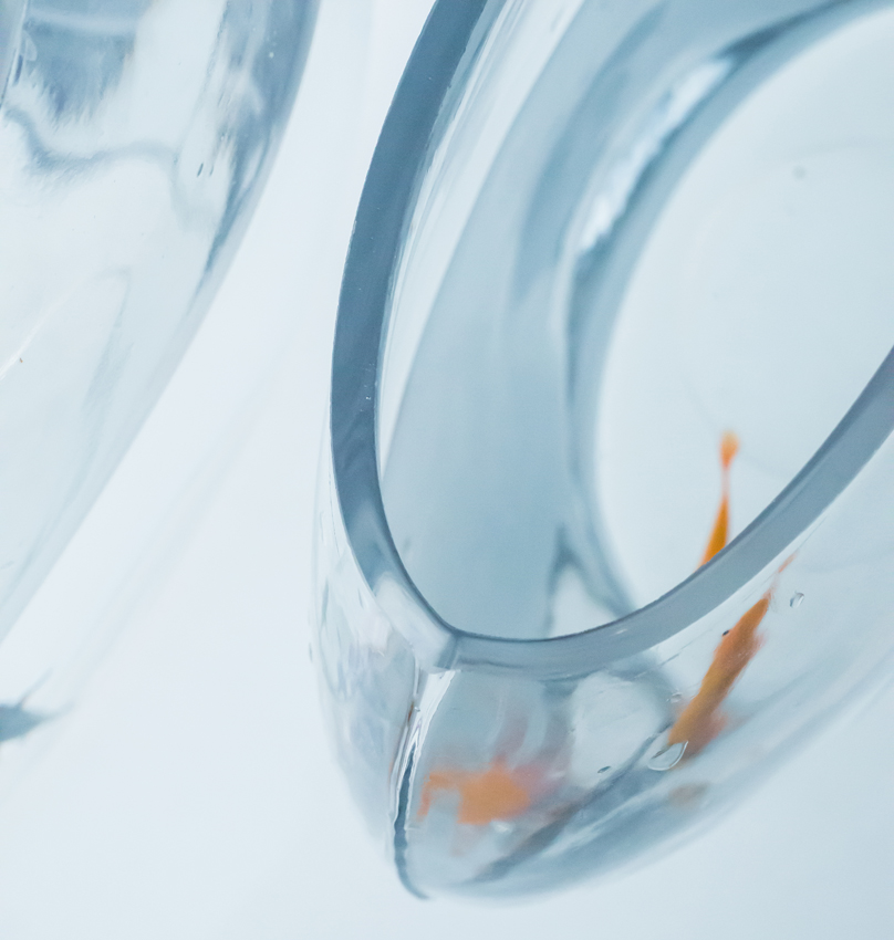 Mini Aquarium en verre plat Transparent ovale, accessoire décoratif pour bureau, Mini Aquarium, ZA210