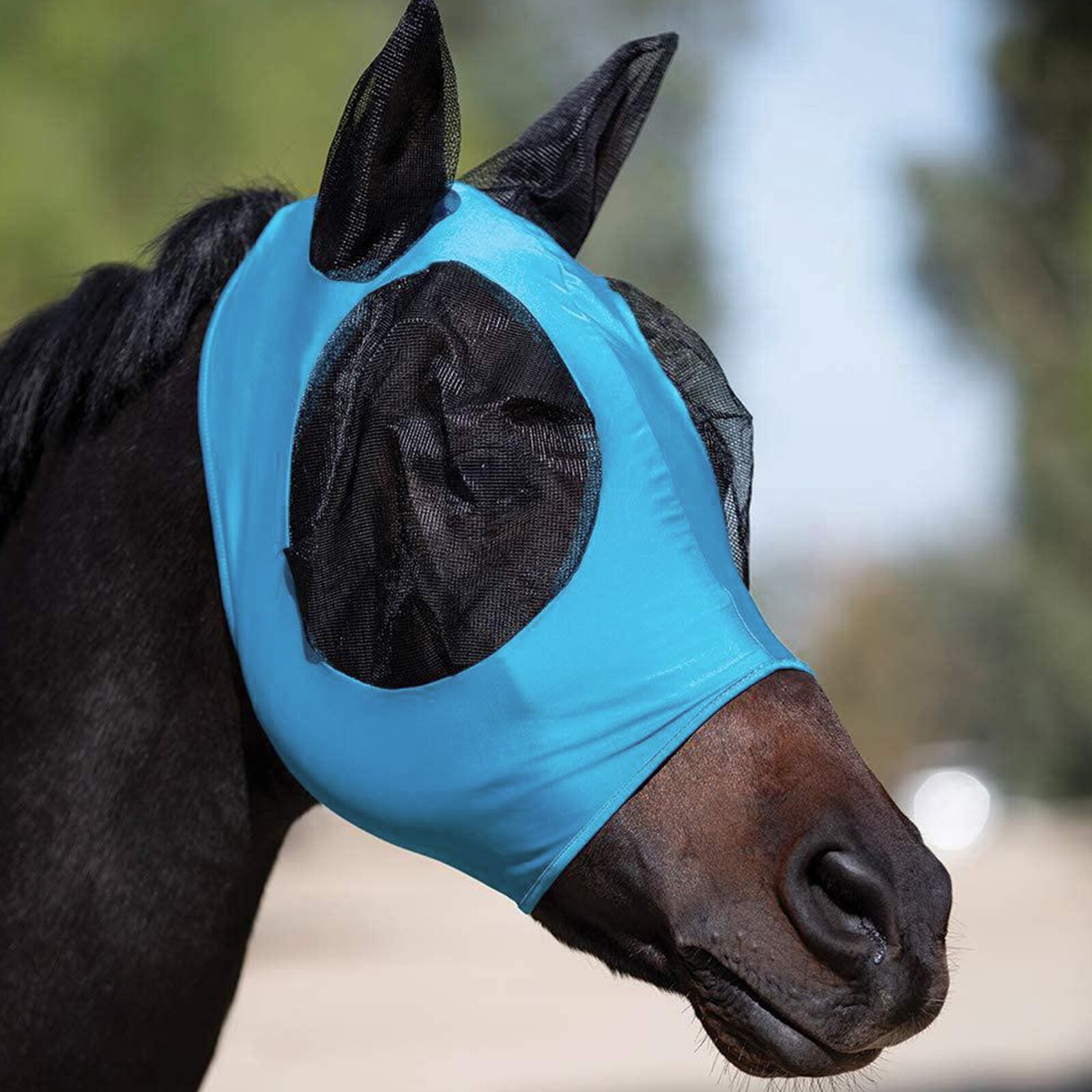 Comfort Fit Horse Fly with Ears for Arab Cob Pony Equestrian: Blue