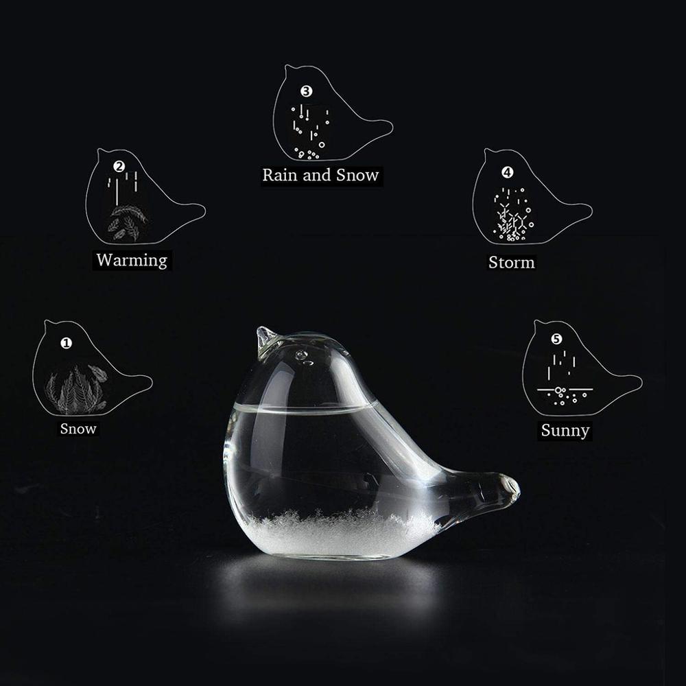 bureau oiseau en forme de Mini tempête verre météo prévision bouteille baromètre maison bureau décoration d'anniversaire