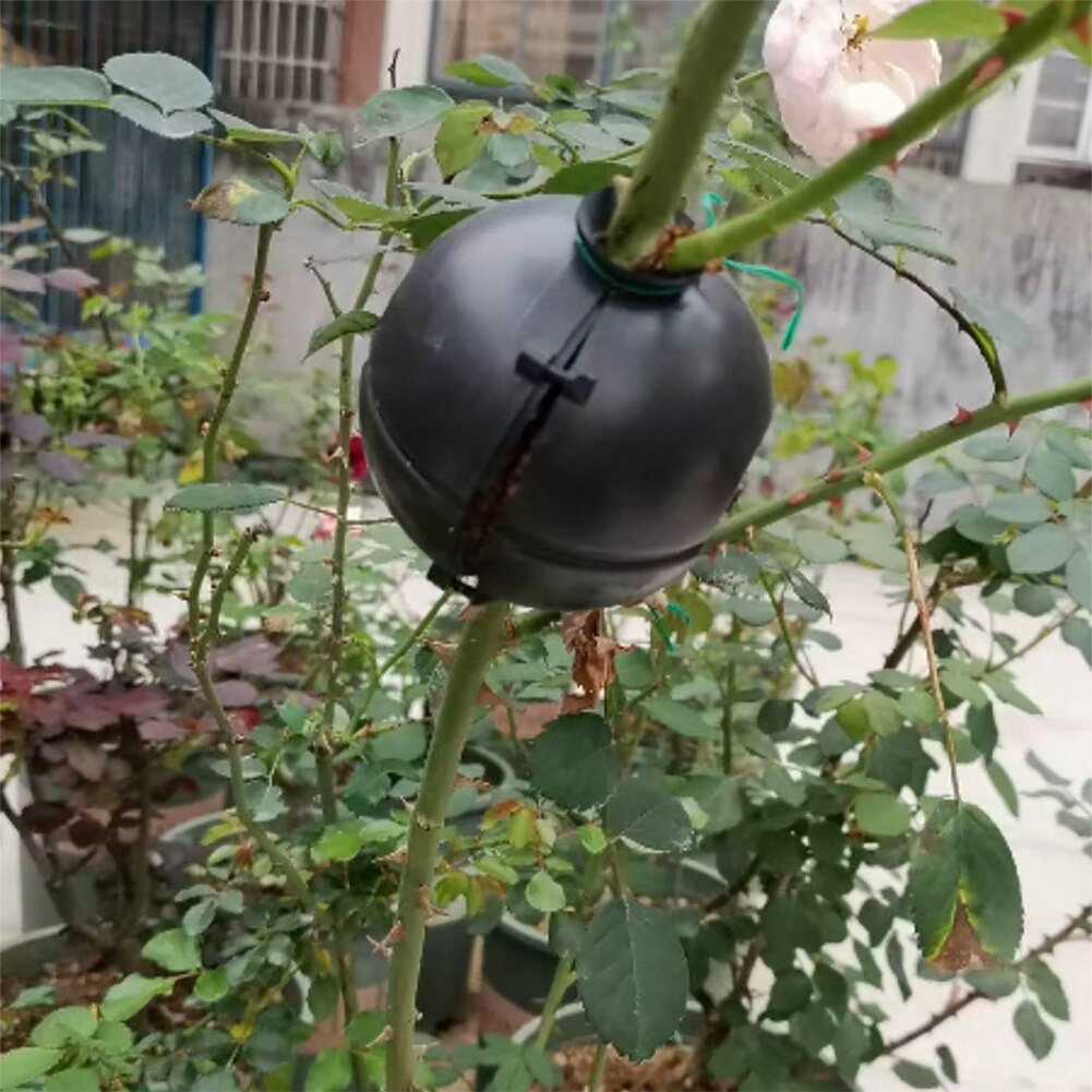 5pcs Plant Rooting Ball Plant Root Growing Box Grafting Rooting Growing Box Breeding Case For Garden