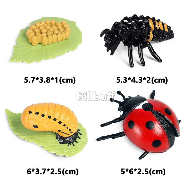 Simulatie Bloem Plant Dier Insect Actiefiguren Zonnebloem Rose Model Realistische Pvc Beeldjes Cognitieve Speelgoed Voor Kinderen: ladybug figures-E