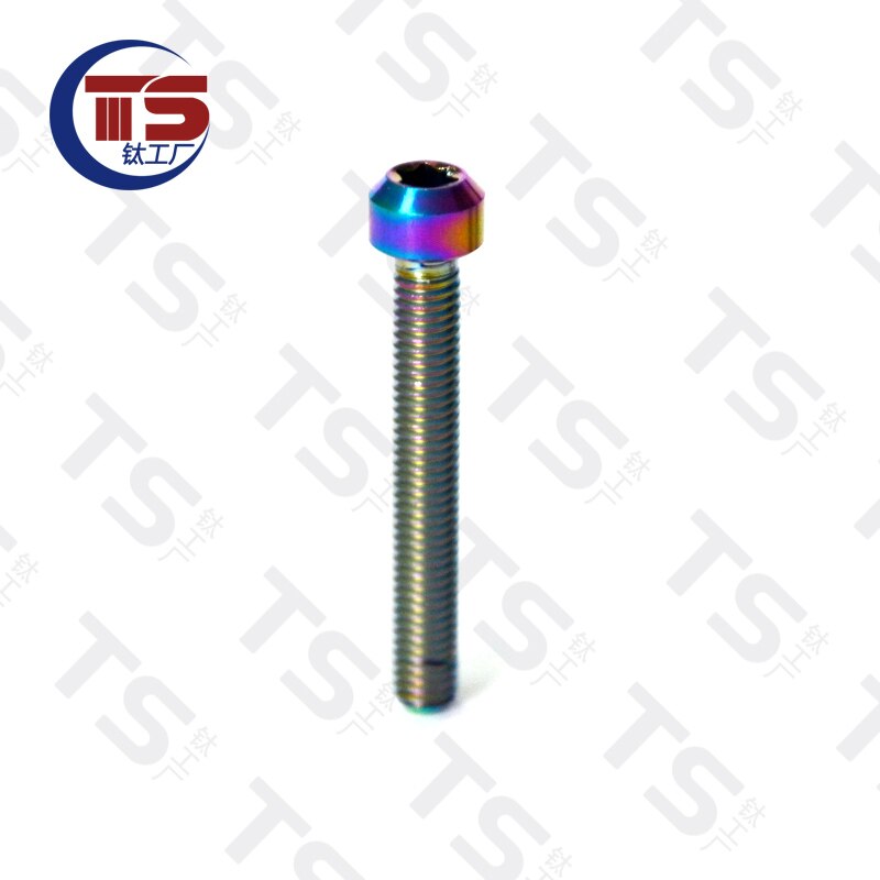 TS Titanium Alloy TORX Head Bolts Screw M5X65mm Allen Key Hex Screw for Bicycle Motorcycle Fastener（1pc）: Rainbow