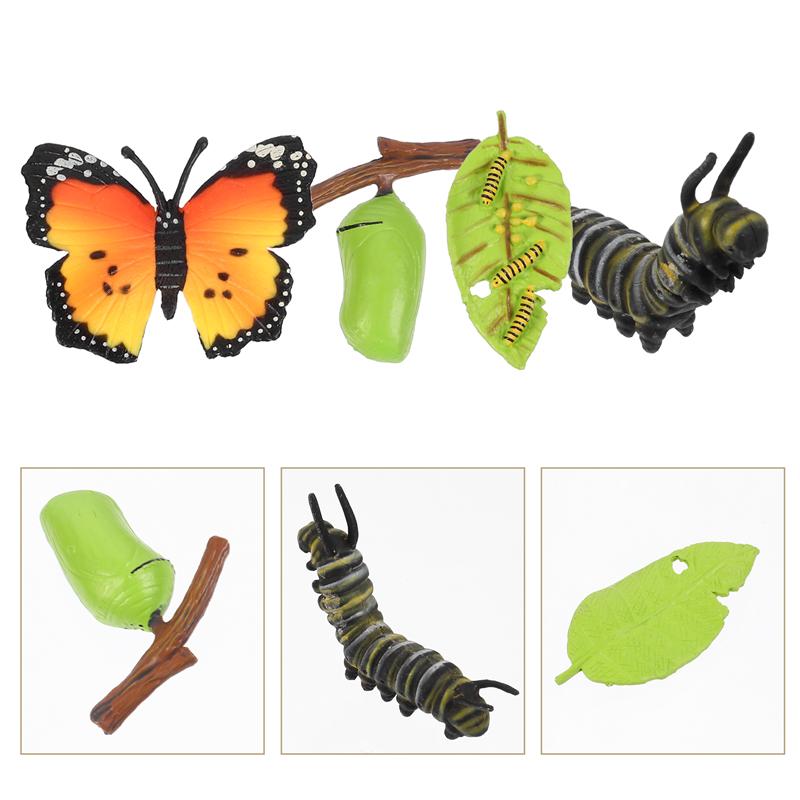 4pcs Funny Insect Life Cycle Figurines Butterflies Ornaments for Kids Playing
