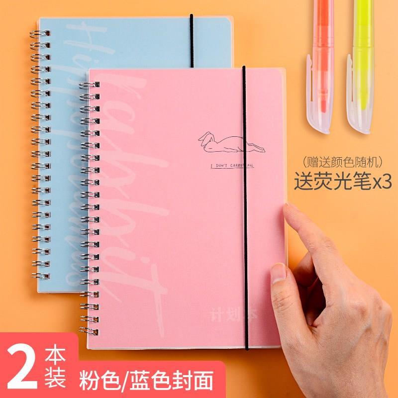 Plan scolaire, gestion du temps, apprentissage, emploi du temps de l'école primaire, adorables élèves, vacances d'été, temps, exécution, un an: 2 pièces 1 rose bleu chaque semestre fluorescent