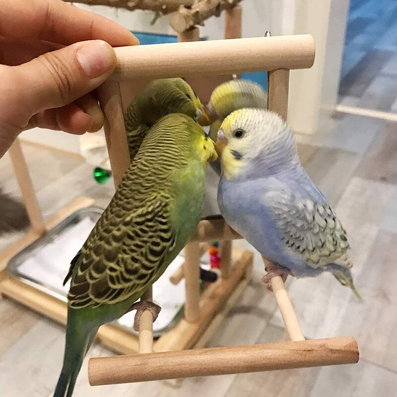 2 Packs of Finch Parrots with Swaying Bird Mirror Bird Perch Standing Pole