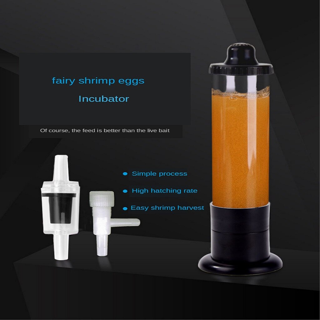 Incubateur d'œufs de crevettes, outil d'incubation avec oxygène, œuf fin, rouge, saumure
