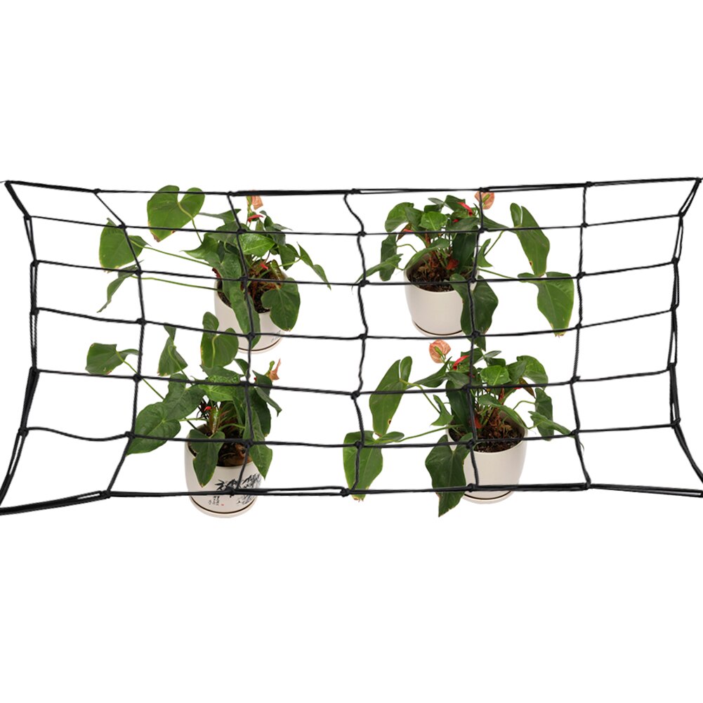 Malla de enrejado elástica de goma para jardín de 80x80 cm, Red de soporte para tienda de cultivo de jardín para plantas de vid trepadora de verduras y flores