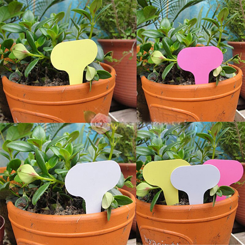 50 stk 6 x10cm plast plante t-type merkelapper markører barnehage hage dekorasjonsmerker til planter blomsterhageetiketter verktøy