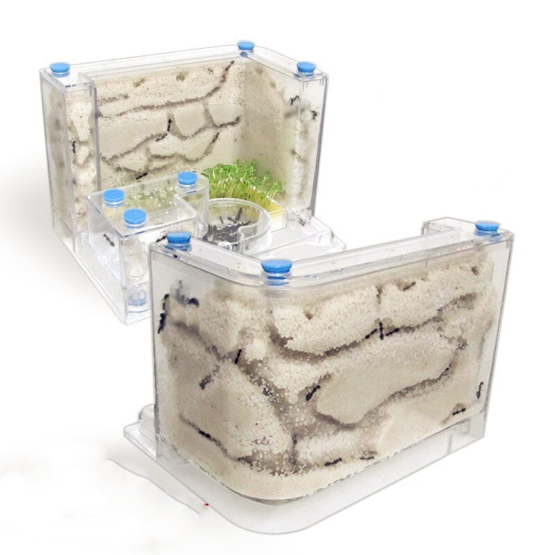 Myre rede akryl rige myre økologisk kasse overdimensioneret slot stort