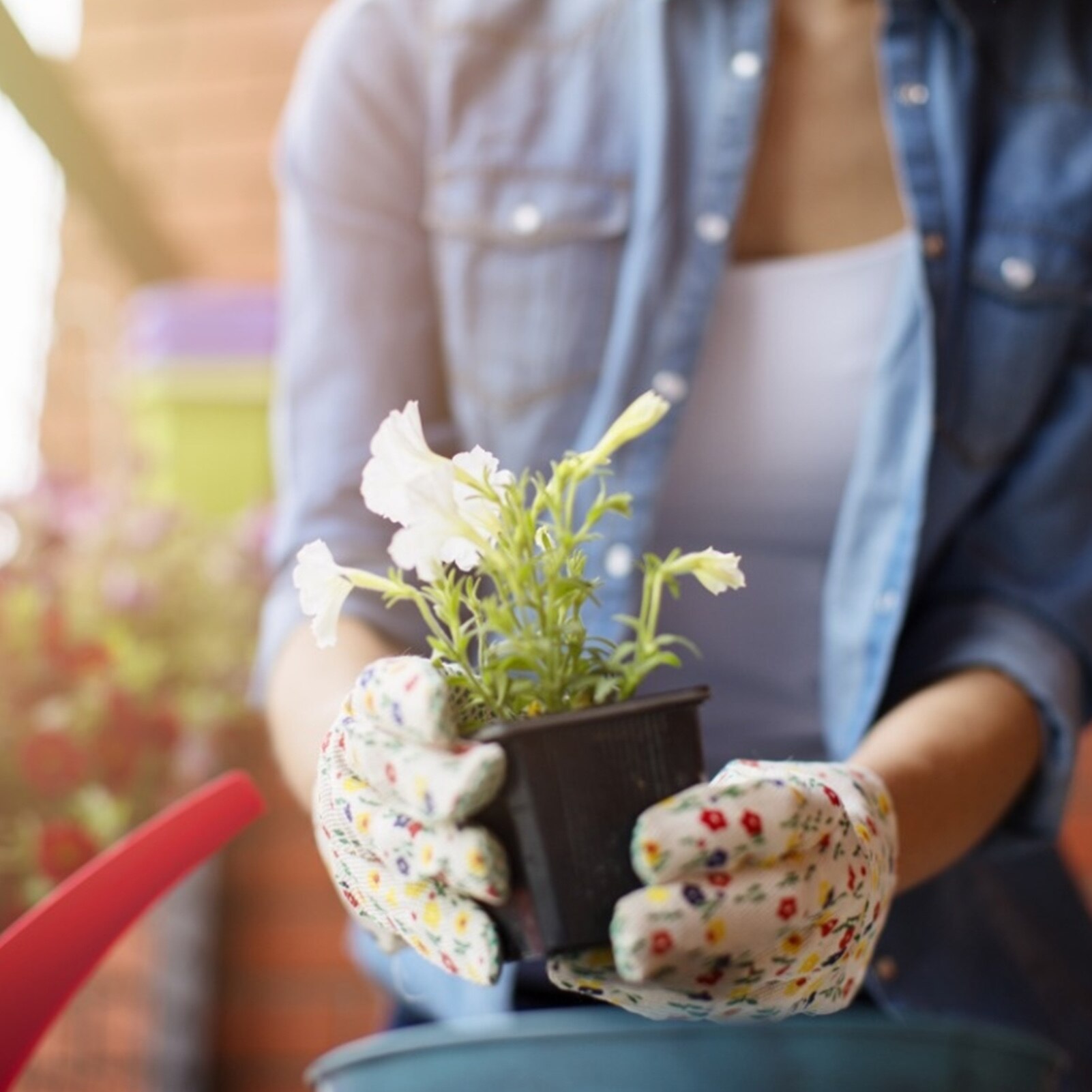 12/15pcs Square Plastic Black Color Flower Pots Garden Planters Small Square for Succulent plants vegetable 35a