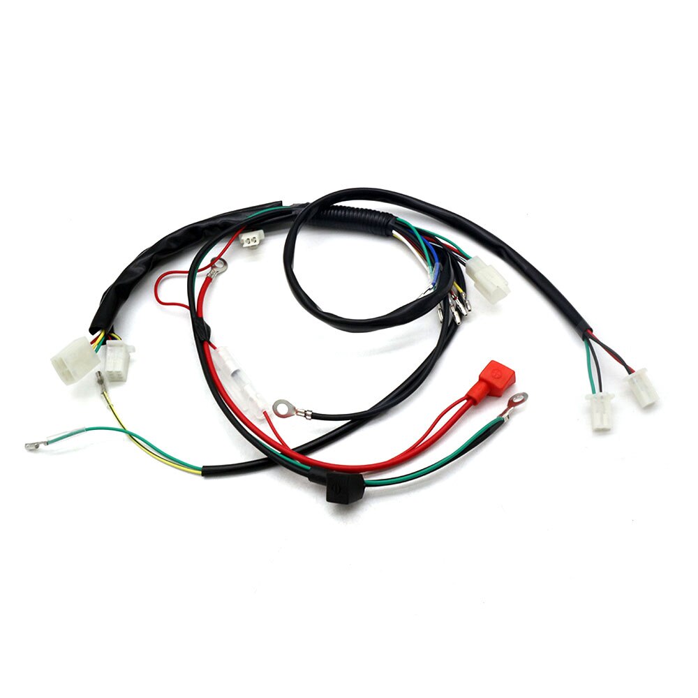 Wireloom Wiring Harness Assembly For Scooter 50cc 110cc 125cc 150cc 200cc 250cc Dirt Atv Quad Bike Buggy Dune