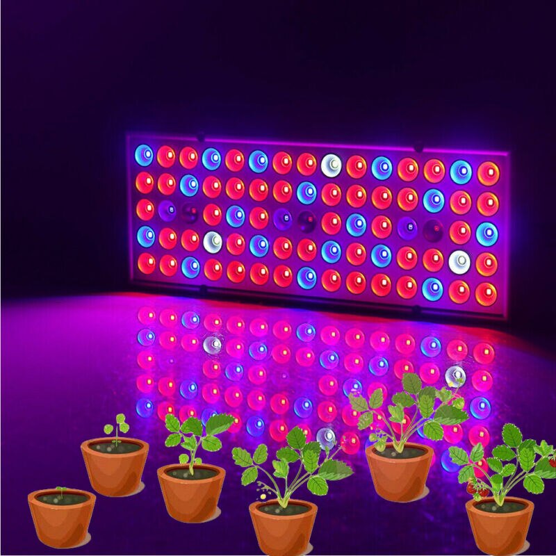 600w 75 førte vokse lys uv voksende lampe til indendørs plante hydroponic plante lampe