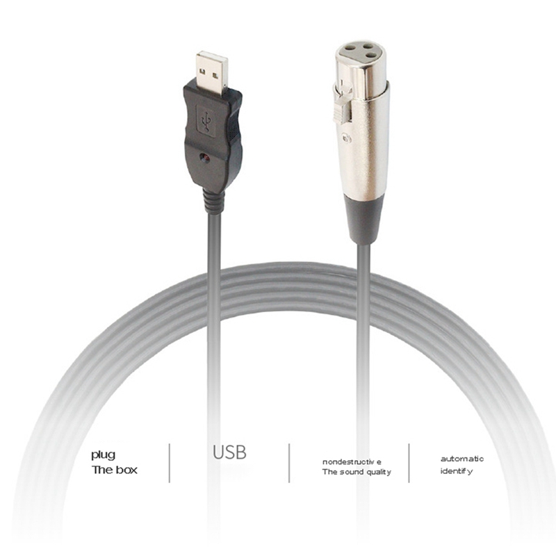 10Ft (3Meter) Gebalanceerde Xlr Female Naar Usb 2.0 Kabel Voor Instrumenten Microfoons (Single)