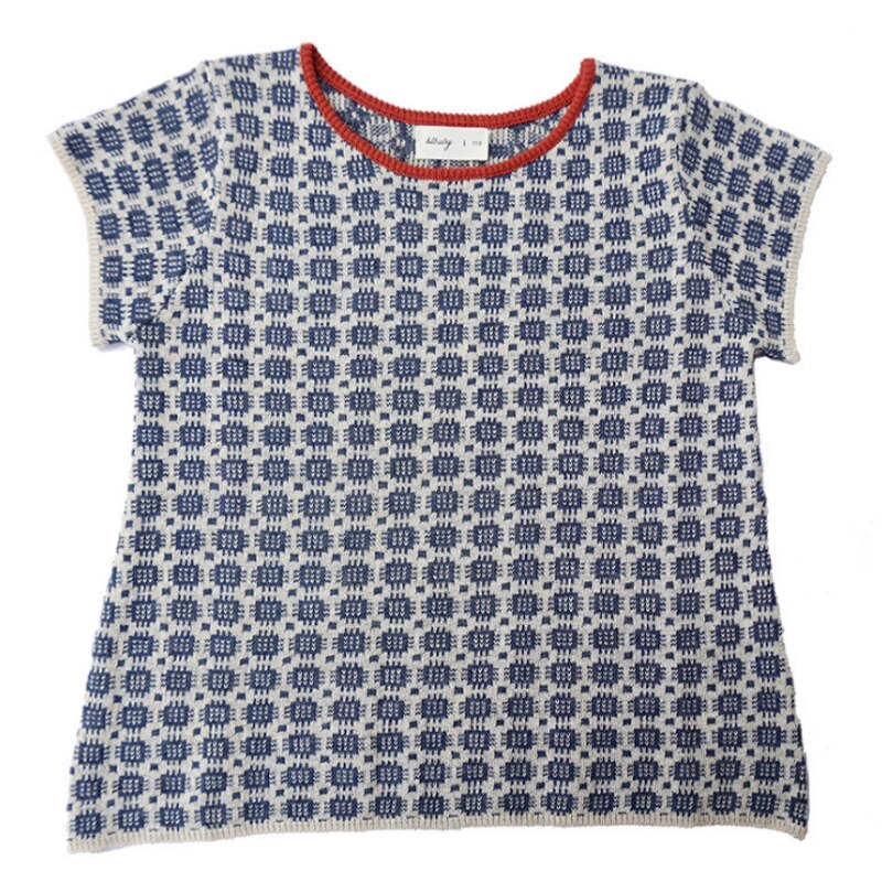 Jurk Voor Meisjes Lente Kant Ruches Leuke Bladerdeeg Mouw Kids Bruidsmeisje Tutu Een Stuk Geplooide Bruiloft Prinses Jurk Voor meisje: Blauw / 90