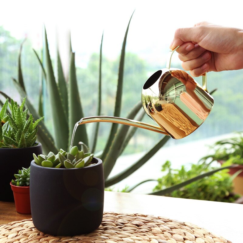 Vandkande i rustfrit stål kedel have hjem flaske planter blomster sprinker pot værktøjer (guld)