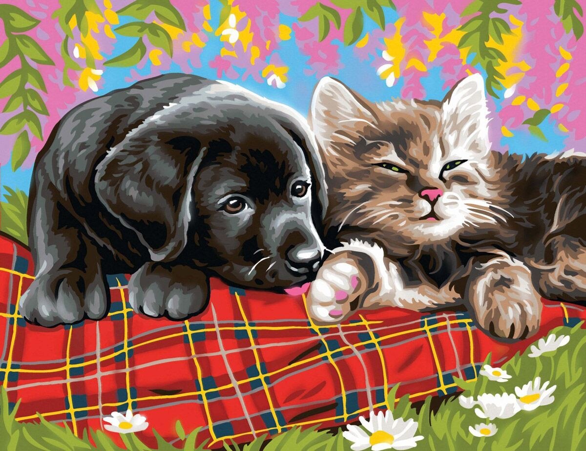 HUACAN, pintura por números, Kits pintados a mano de gatos, pintura al óleo DIY de lienzo para dibujar por números, decoración para el hogar,: SZHC293