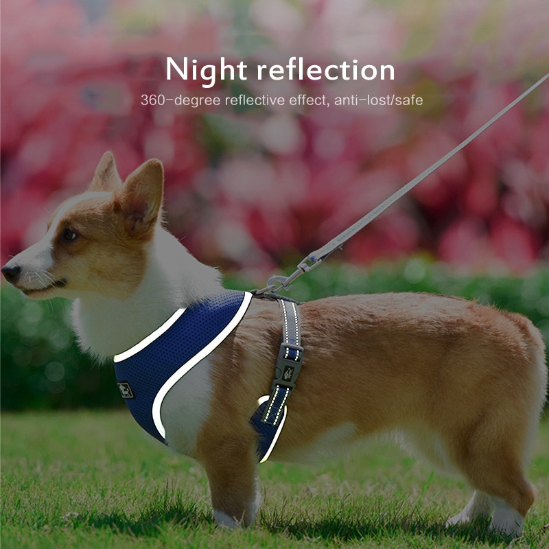 Novo cão pet reflexivo cinta de peito malha respirável peito de volta pequeno e médio porte coleira de cachorro gato pet arnês de náilon collar pug