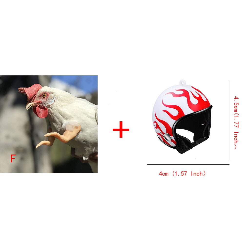 Juguete para manos de pollo, de broma, casco para gallinas, decoración divertida de aves, músculos, juguetes con brazos: F and Helmet
