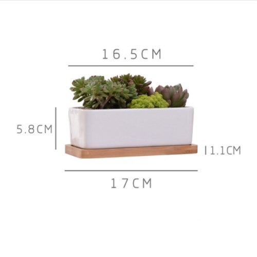Macetas carnosas de cerámica minimalistas, rectangulares, blancas, para plantas suculentas, de porcelana, para escritorio, decoración del hogar Zakka: Rojo