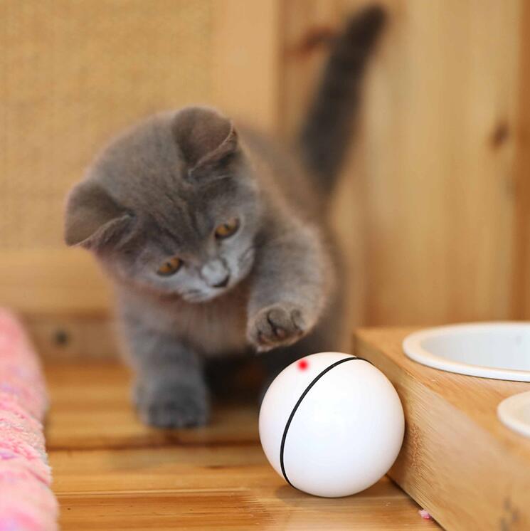 juguete para gatos luz LED bola libre carga USB juguete divertido gato inteligente bola rodante automática juguete de adiestramiento de gatos LED luminoso