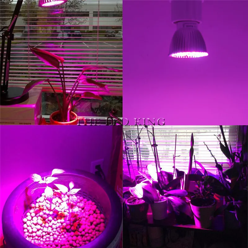 Grow light E27 Phyto Lamp 18W 30W 80W E27 GU10 Led Grows Light Full Spectrum Fitolamp Ac85-265V 5730 IR Uv Led Lamps For plants