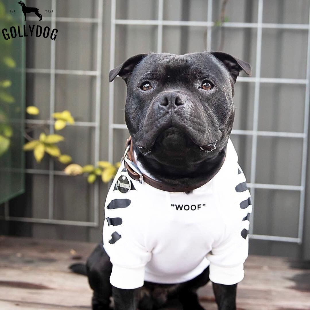 Französisch Bulldogge Kleidung Hund Hoodie Adidog Warme Sport retro Hund Hoodies Haustier Kleidung Welpen Hund Möpse Welpe Kleidung Chihuahua