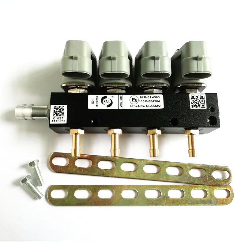 2 ohm 4 cilindro METANO GPL Iniettori Ferroviarie ad alta velocità Comune Iniettore sbarra iniettori gas e accessori