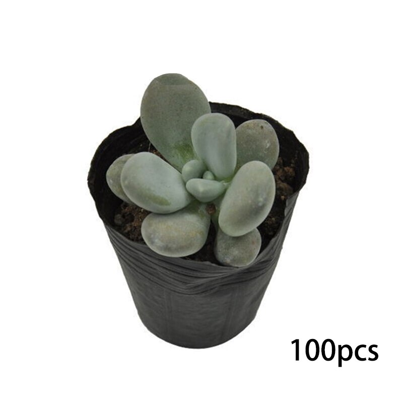 Nursery Pot Plastic Plant Pots Nursery Seedlings Pots Seed Starting Pots Flower Plant Container for Gardener 6.5X6.5cm